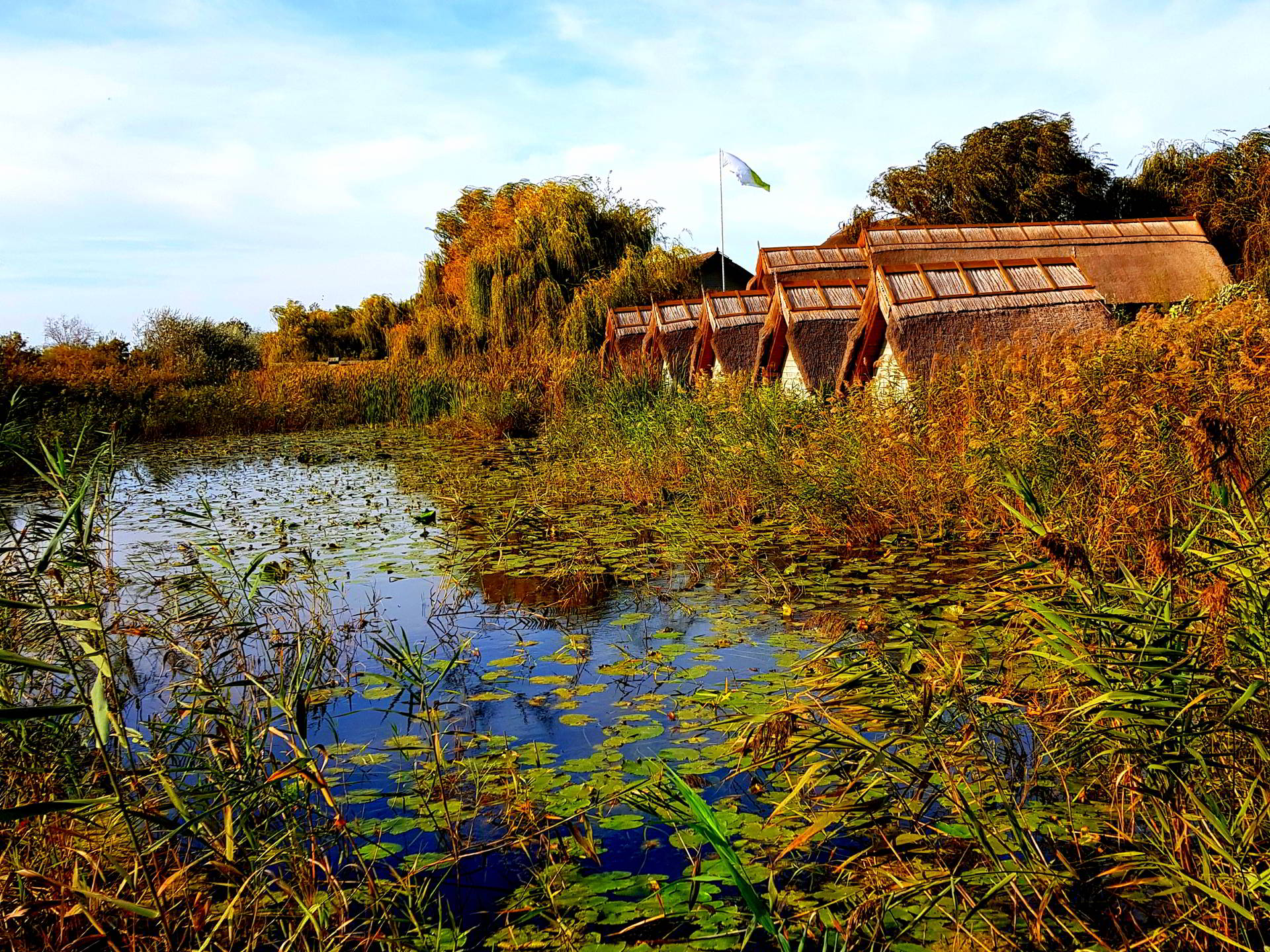 Proiecte pentru Delta Dunării, de Ziua Mondială a Rezervațiilor Naturale