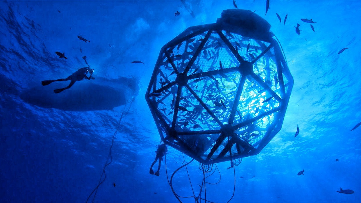 Fermele piscicole offshore, un nou concept pentru pescuitul în Marea Neagră