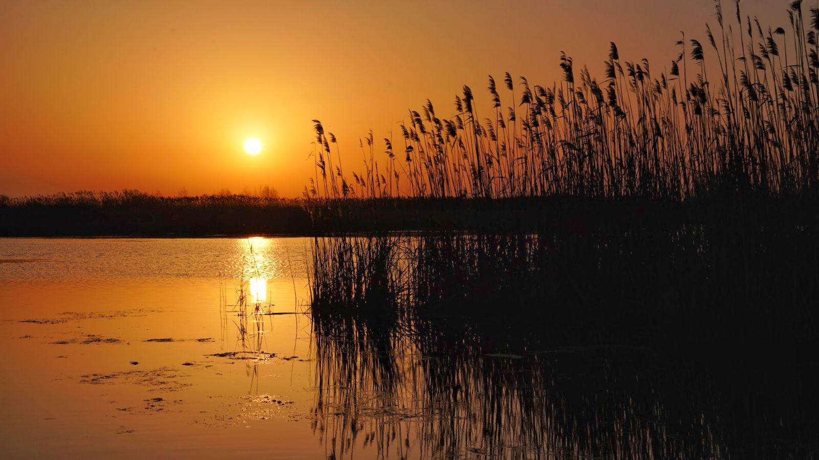 Relaxare, pescuit și birdwatching în Delta Dunării, în minivacanța de 1 Decembrie