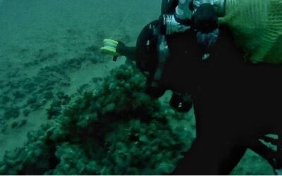 O mină marină din Al Doilea Război Mondial a fost descoperită în Marea Neagră